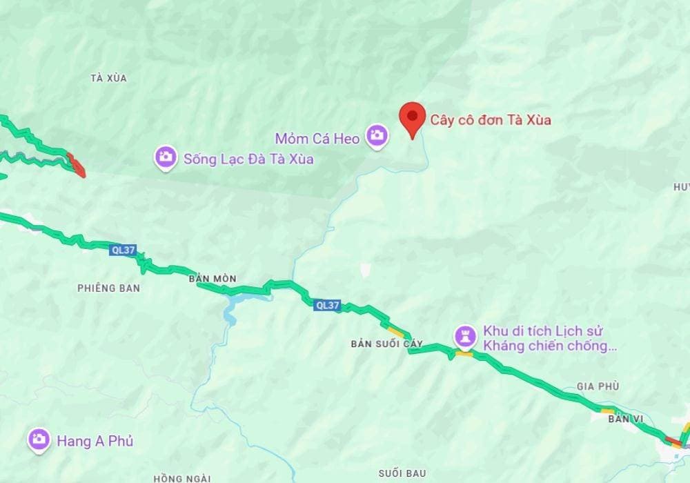 Vị tr&iacute; của c&acirc;y C&ocirc; Đơn tr&ecirc;n bản đồ (Nguồn: Internet)